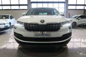 Skoda Karoq Karoq 1.0 tsi Executive dsg 115cv